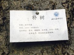 -湖北省美术院美术馆