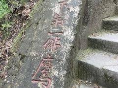 -大金鹰园