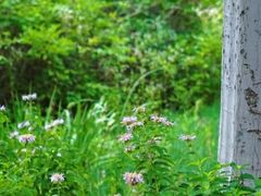 -济南野生动物世界