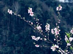 -新安江山水画廊风景区