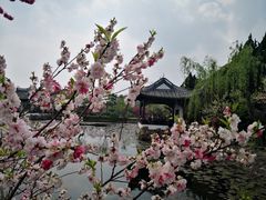 -无锡蠡湖国家湿地公园-蠡园