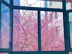 -吉林大学(南岭校区)