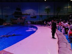 -华夏文旅海洋公园