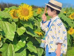 -君乐宝优致牧场