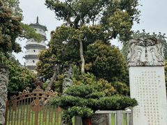 -国恩寺