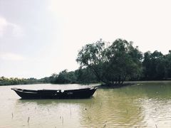 -大湾区中央湿地公园