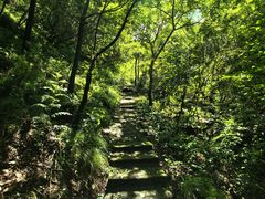 -雾灵西峰