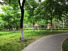 -丰台花园