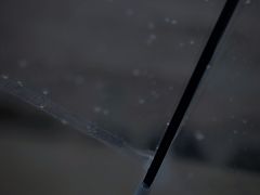 -碧海金沙