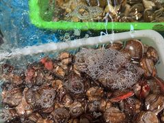 -和源祥·日照菜扛把子(万平口一店)