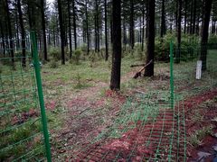 -塞罕坝国家级自然保护区