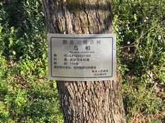 -塔川景区