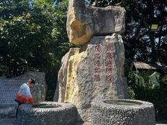 -金孔雀温泉旅游度假村