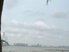 -中澳友谊花园