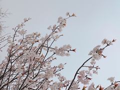 -崂山九水游览区