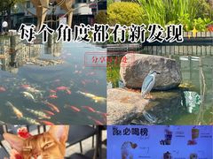 -长阳创谷