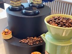 -奔驰上海利星(七宝店)