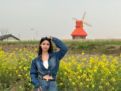 -杭州湾海上花田景区