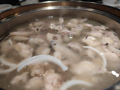 -烹然四季椰子鸡火锅(姚家园万象汇店)