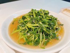 蒜蓉鸡毛菜-金春禧·鲁菜海鲜(延吉路万达店)