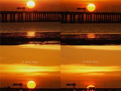 -宝安西湾红树林湿地公园