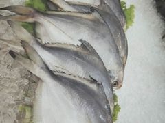 -西安高新希尔顿酒店·咖啡露台西餐厅