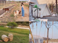 -安德鲁户外烧烤帐篷营地(马泉营店)