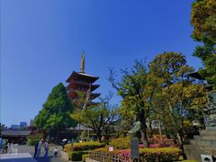 -浅草寺