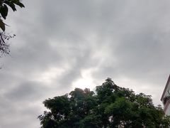 -十九路军淞沪抗日阵亡将士陵园