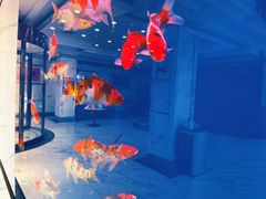 -澜悦港海鲜体验主题餐厅