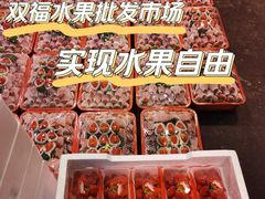 -双福水果批发市场