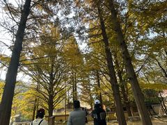 -大泽山风景名胜区