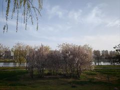 -咸阳湖景区-统一广场