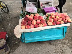 -康陵正德春饼宴26号