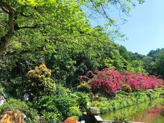 -深圳仙湖植物园