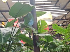 -杯莫亭(集里店)