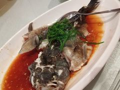 -金美华轩(东方路齐鲁店)