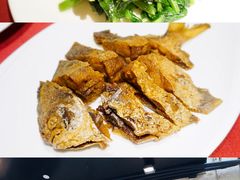 酒香豆苗-老吉士酒家(天平路店)