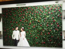 点击看大图 -韩国艺匠ARTIZ STUDIO(博览中心店)