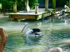 -费瑟代尔野生动物园