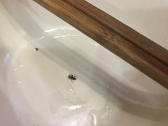 -阊门姚记豆浆(旧学前直营店)