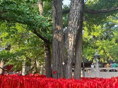 -红螺寺
