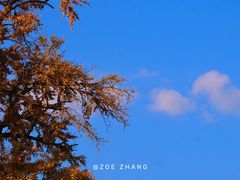 -北京石刻艺术博物馆
