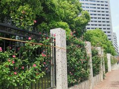 -黄浦路(地铁站)
