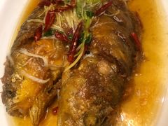 锦涛煎转大黄鱼-鹿鸣春饭店(总店)
