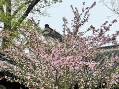 -采石矶景区