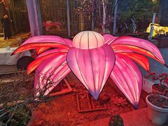 -阿细汉菜(本地盐帮菜名店)