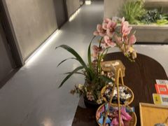 -施奈儿.洗头頭療.按摩SPA.采耳(上梅林店)