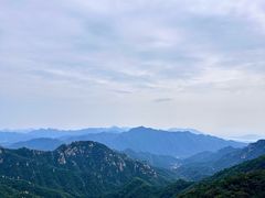 -大岭沟猕猴桃谷风景区