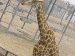 景点-西安秦岭野生动物园